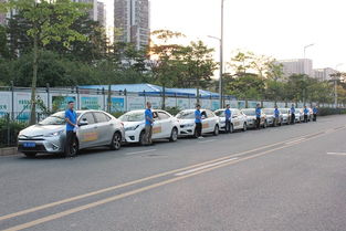 龍翔專業汽車陪駕 全方位服務，助您安全駕駛上路