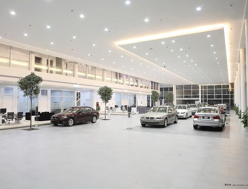 雙項優質服務 50瓦LED工程筒燈與汽車陪駕服務